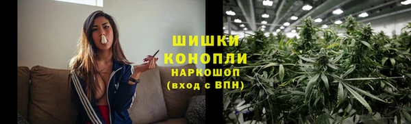 СК Зеленодольск