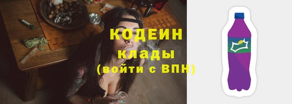 СК Зеленодольск